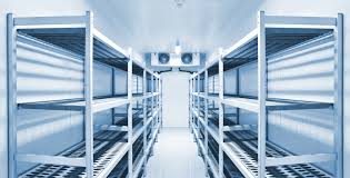 The Complete Guide to Frozen Storage: Preserving Quality in Saudi Arabia’s Extreme Climate